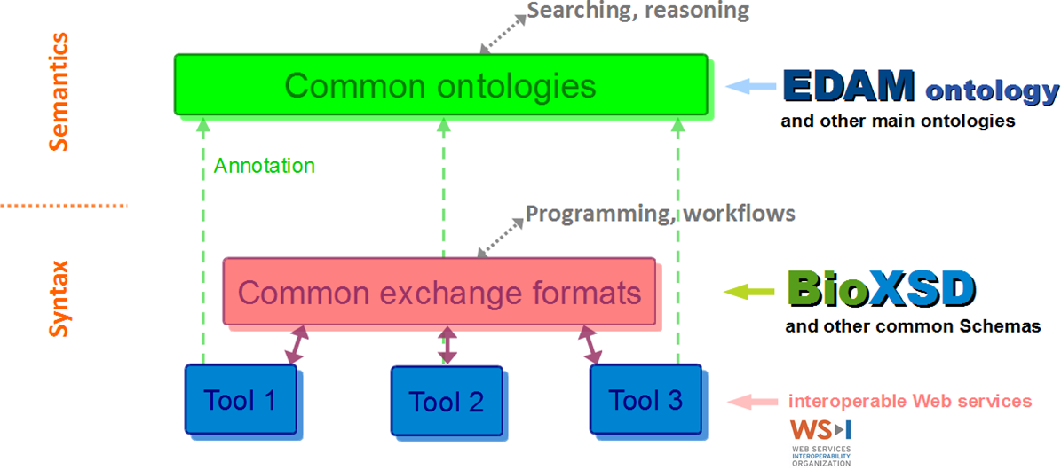 Interoperability standards according to EMBRACE